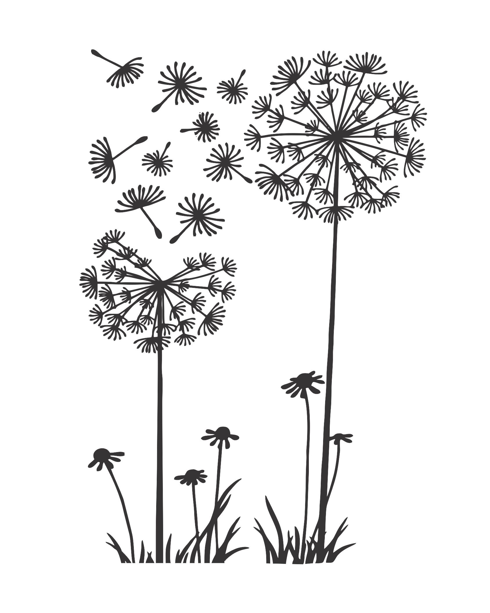 Dandelion Wall Art Xpeditious Print